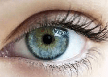 A e dini sa megapiksel ka syri i njeriut?