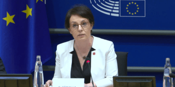 Gërvalla në Parlamentin Europian: Serbia s’e do Europën, ua do vetëm eurot e saj