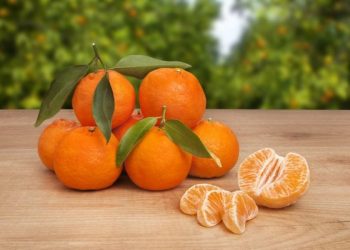 Mandarina me pesticide, Ministria e Bujqësisë në Shqipëri: Masa për fermerët që kanë përdorur produkte të ndaluara