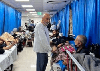 Kreu i OBSH-së bën thirrje për ndaljen e sulmeve ndaj spitaleve në Gazë