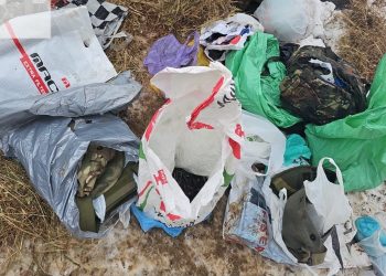 PK: Armët, municioni dhe uniformat në Zubin Potok ishin fshehur në një kotec pule