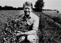 Nga fermer kikiriku në president të SHBA, kush ishte Jimmy Carter?