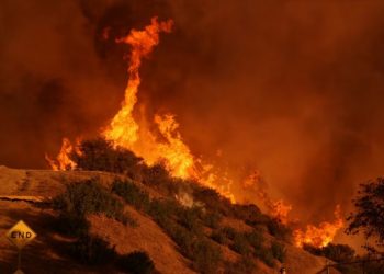 Arrin në 16 numri i viktimave nga zjarret në Los Anxhelos