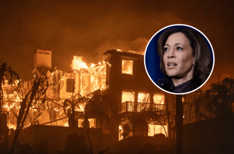 Zjarri masiv, Kamala Harris mes personave që kanë shtëpi në periferi të Brentwood