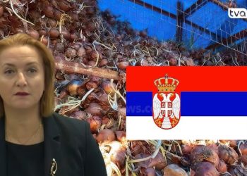 Fermerët në Shqipëri: Hamë qepë e patate serbe, prodhimi i Maliqit ‘flaket’ në kanal!