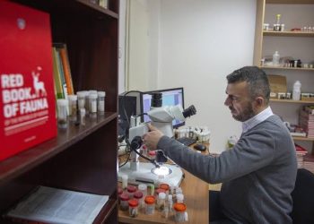 Profesori i UP-së, Halil Ibrahimi, zbulon edhe një insekt