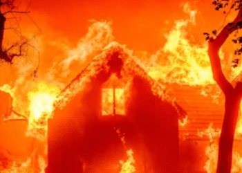 Pse zjarret në Kaliforni u përhapën me shpejtësi?