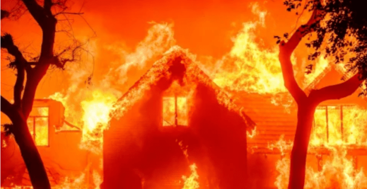 Pse zjarret në Kaliforni u përhapën me shpejtësi?