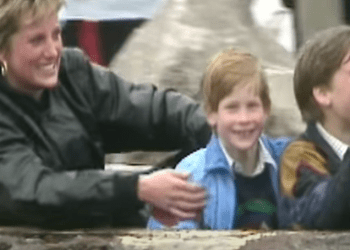 Shitet në ankand letra e Princeshës Diana, zbulon si ishte dikur marrëdhënia e vëllezërve William dhe Harry