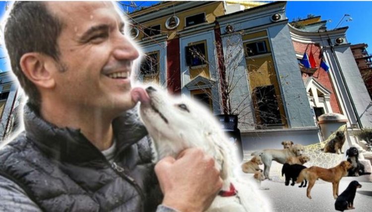 Pse Erion Veliaj me “qentë” e tij po sulmojnë prokurorin e SPAK-ut?