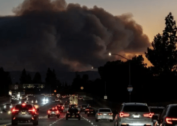 Katastrofa me zjarret, shpallet emergjenca shëndetësore në Los Angelos