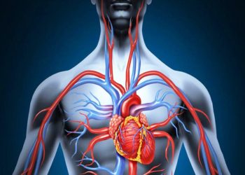 Kur bën ftohtë papritur – çfarë i ndodh trupit dhe këshillat si të veproni