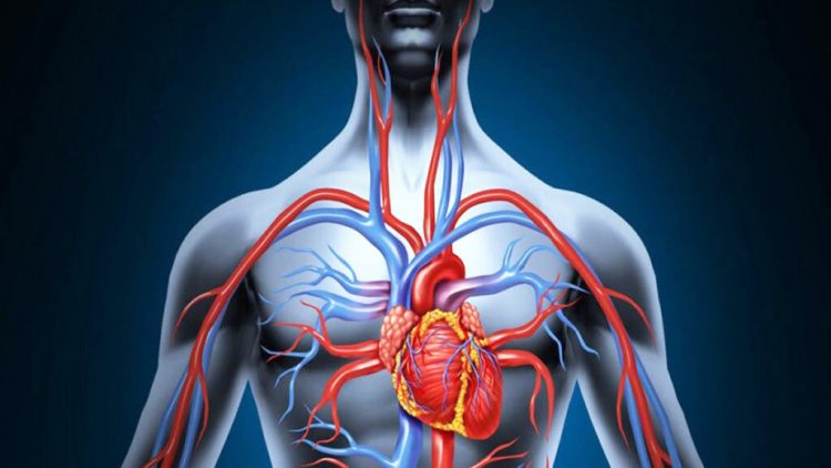 Kur bën ftohtë papritur – çfarë i ndodh trupit dhe këshillat si të veproni