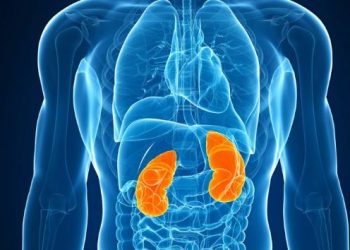 Simptomat që tregojnë se keni probleme me veshkat