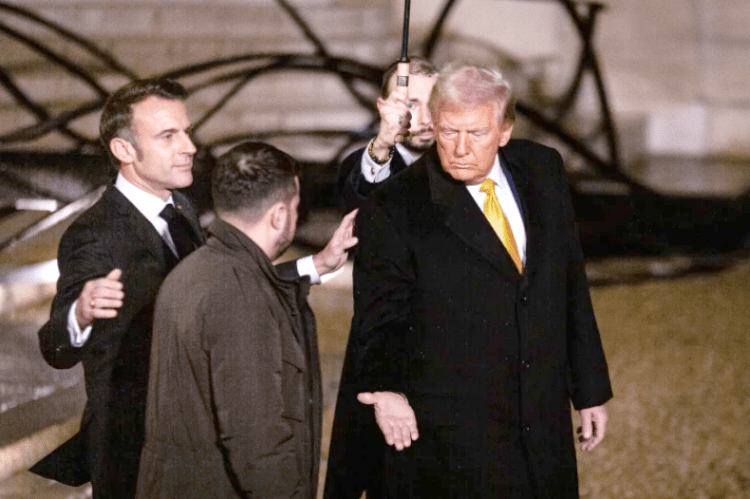 Oferta e pabesueshme e Trump që tundon Zelensky-n