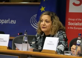 Presidentja e Grupit të Socialistëve e Demokratëve në Parlamentin Evropian uron Kurtin
