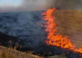 Zj*arr në një pjesë fushore të Bërnicës, komandanti i zjarrfikësve jep detajet