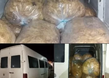 Kapen 1200 kilogramë duhan të papërpunuar, po futej nga Shqipëria në Kosovë