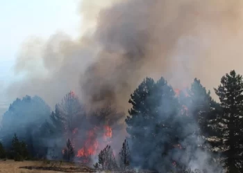 Policia apelon për kujdes nga zjarret, paralajmëron ndjeke penale për zjarrvënësit