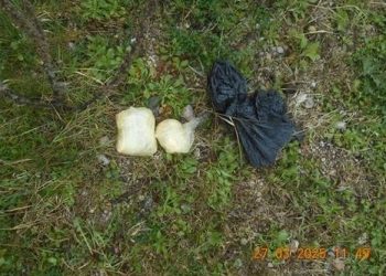 Parandalohet kontra*bandin i substancës nar*korike në b*rgun e Dubravës