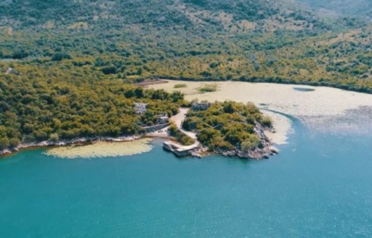 Synohet që liqeni i Shkodrës dhe lumi Buna të mbrohen nga UNESCO