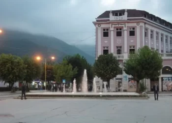 Inspektoriati mbyll disa lokale të natës në Pejë