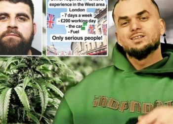 Shqiptarët në Angli hapin në TikTok “qendër punësimi”, The Sun: Rekrutojnë shitës dhe transportues dr*oge, reklamë për rrogë deri në 100 mijë paund