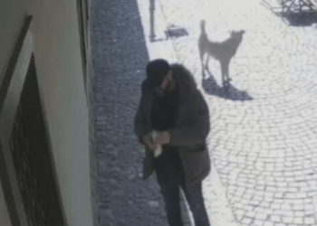 Paraburgim ndaj të dyshuarit për grisjen e Kuranit në Prizren