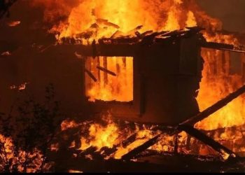 Shqipëri: Zjarr masiv në një stallë bagëtish, dyshohet për mbi 200 krerë bagëti të djegura
