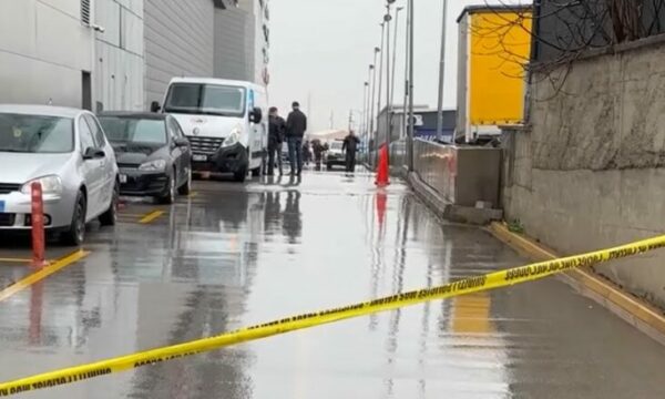 Dalin pamjet kur p*lagoset Millosh Vukojeviq në gr*abitjen e së hënës