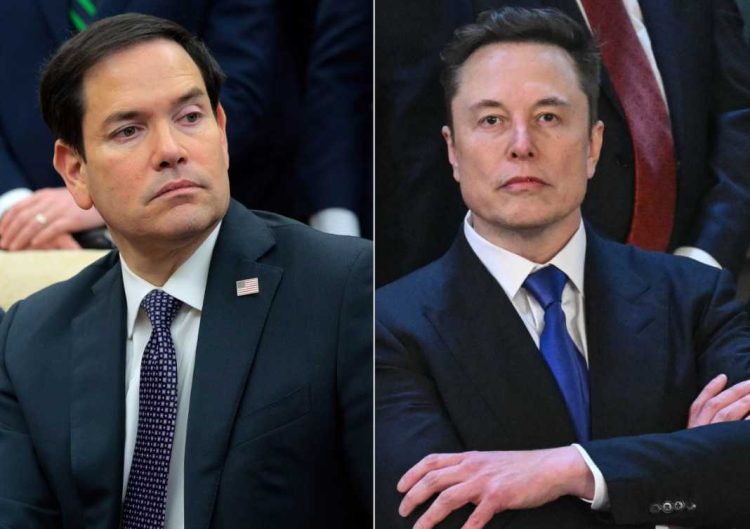 Përplasje të forta mes Musk e Rubio në mbledhjen e kabinetit, Trump fsheh tensionet