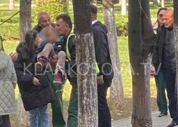 Qentë endacakë sulmojnë një fëmijë në Parkun e Dardanisë
