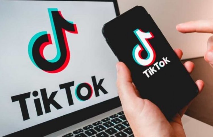 Manastirliu: Qeveria miraton mbylljen e aksesit në TikTok për 12 muaj