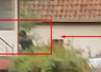 Publikohet momenti i gjuajtjes me armë zjarri ndaj te*rroristëve serbë në Banjskë