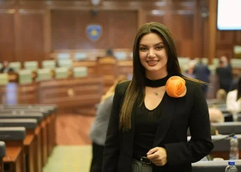 Statovci: Opozita ka krijuar aleancë të bunkerizuar dhe idhnake ndaj rezultatit të zgjedhjeve