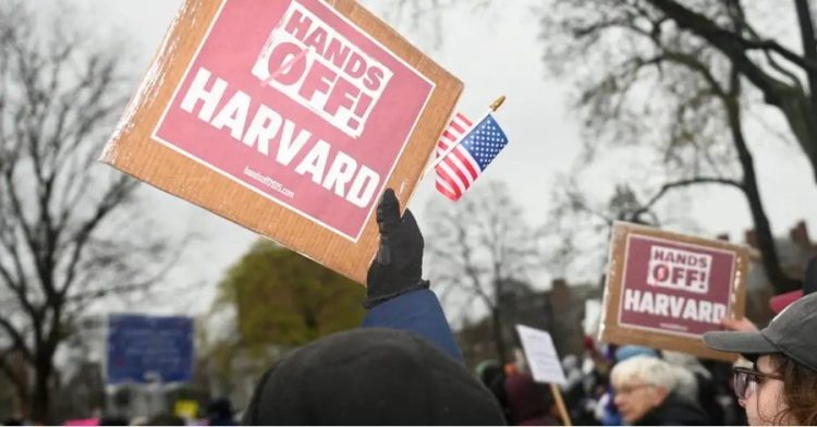 BE tërheq akademikë amerikanë, pasi Trumpi ngrin financimin