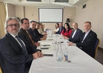 VLEN drejt bashkimit në një parti të vetme politike
