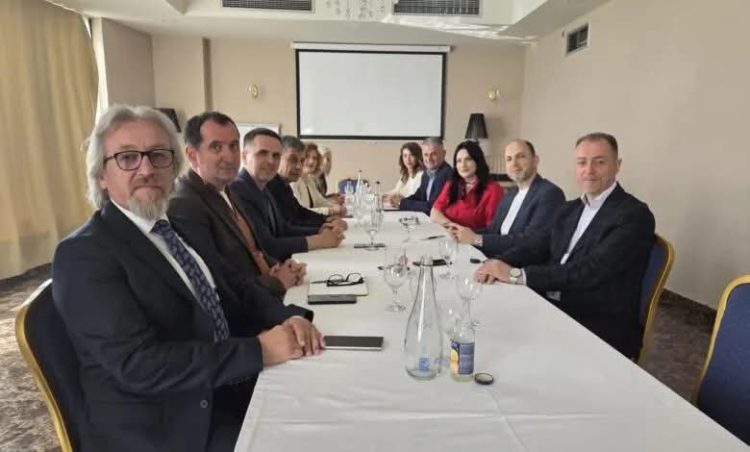 VLEN drejt bashkimit në një parti të vetme politike