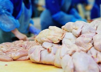 AUV shton masat e kontrollit për mishin e importuar nga Brazili në Kosovë