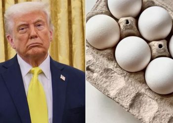 Donald Trump reagon ndaj kostos së vezëve në SHBA: Çmimet kanë rënë, askush nuk flet për to