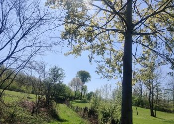 Moti sot me diell dhe vranësira të shpërndara