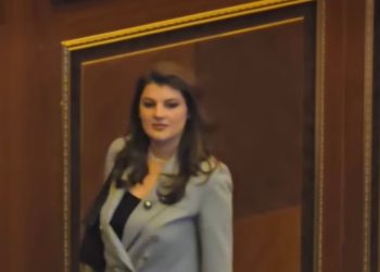 Deputetja e re e PDK-së, s’votoi si partia!