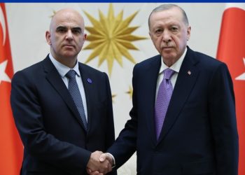 Presidenti Erdoğan priti në takim Sekretarin e Përgjithshëm të Këshillit të Evropës