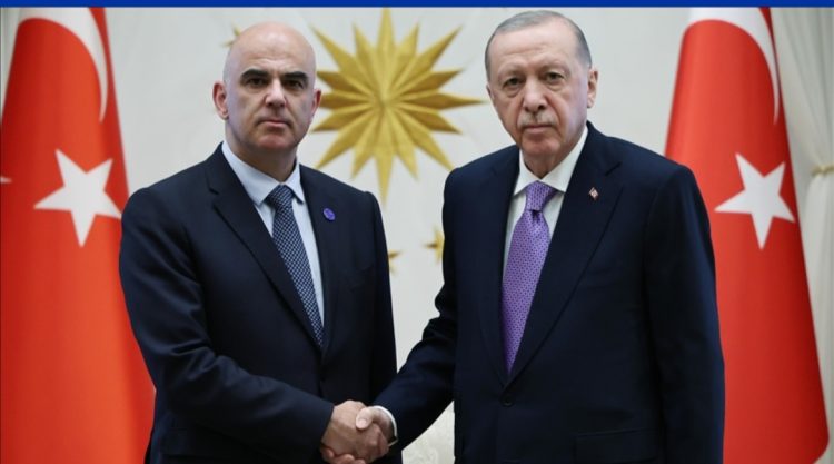 Presidenti Erdoğan priti në takim Sekretarin e Përgjithshëm të Këshillit të Evropës