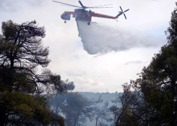 BE do të dërgojë 650 zjarrfikës në zonat me rre*zik të lartë nga zj*arret