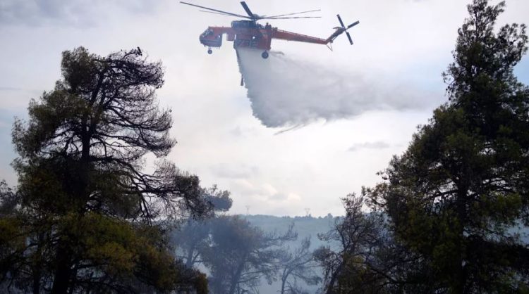 BE do të dërgojë 650 zjarrfikës në zonat me rre*zik të lartë nga zj*arret