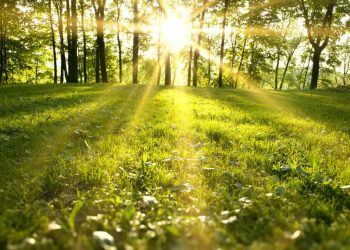 Parashkimi i motit në pesë ditët e ardhshme