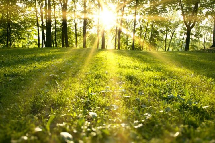 Parashkimi i motit në pesë ditët e ardhshme