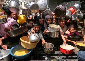 Gaza, vuajtje të mëdha për popullin palestinez: uri, mungesë uji dhe zhvendosje