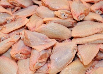 Kosova ndalon importin e mishit të pulës nga Brazili